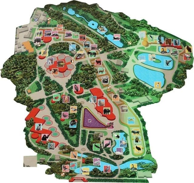 Mapa parku zoologicznego w Kijowie